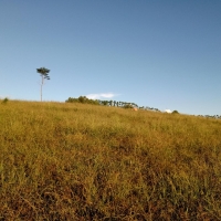 Venda de Sítio em Mato Dentro em São Thomé das Letras-MG