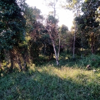 Venda de Sítio em Mato Dentro em São Thomé das Letras-MG