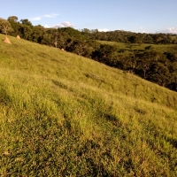 Venda de Sítio em Mato Dentro em São Thomé das Letras-MG