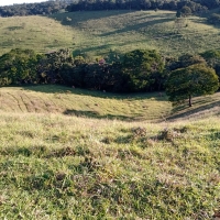 Venda de Sítio em Mato Dentro em São Thomé das Letras-MG