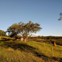 Venda de Sítio em Mato Dentro em São Thomé das Letras-MG