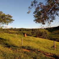 Venda de Sítio em Mato Dentro em São Thomé das Letras-MG