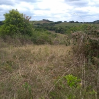 Venda de Sítio em Rural Batinga em São Thomé das Letras-MG