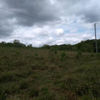 Venda de Sítio em Rural Batinga em São Thomé das Letras-MG