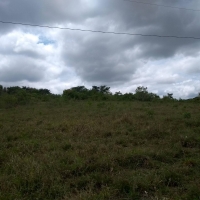 Venda de Sítio em Rural Batinga em São Thomé das Letras-MG