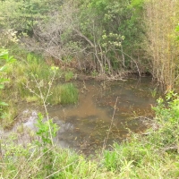 Venda de Sítio em Rural Batinga em São Thomé das Letras-MG