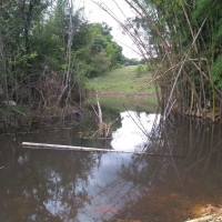 Venda de Sítio em Rural Batinga em São Thomé das Letras-MG