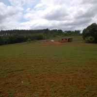 Venda de Sítio em Rural Batinga em São Thomé das Letras-MG