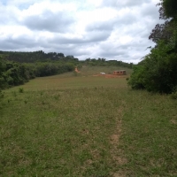 Venda de Sítio em Rural Batinga em São Thomé das Letras-MG