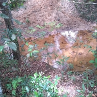 Venda de Sítio em Rural Batinga em São Thomé das Letras-MG