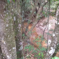 Venda de Sítio em Rural Batinga em São Thomé das Letras-MG