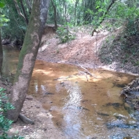 Venda de Sítio em Rural Batinga em São Thomé das Letras-MG