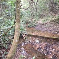 Venda de Sítio em Rural Batinga em São Thomé das Letras-MG