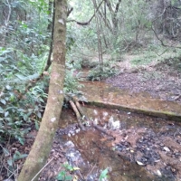 Venda de Sítio em Rural Batinga em São Thomé das Letras-MG