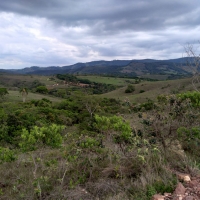 Venda de Sítio em Rural Caí em São Thomé das Letras-MG