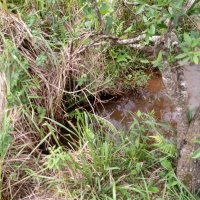 Venda de Sítio em Rural Caí em São Thomé das Letras-MG