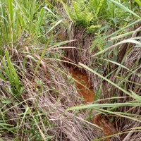 Venda de Sítio em Rural Caí em São Thomé das Letras-MG