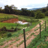 Venda de Sítio em Rural Caí em São Thomé das Letras-MG