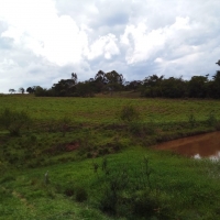Venda de Sítio em Rural Caí em São Thomé das Letras-MG