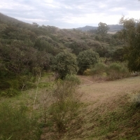 Venda de Sítio em Rural Canta Galo em São Thomé das Letras-MG