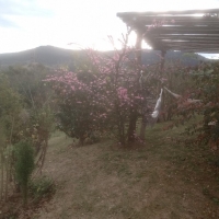 Venda de Sítio em Rural Canta Galo em São Thomé das Letras-MG