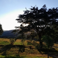 Venda de Sítio em Rural Canta Galo em São Thomé das Letras-MG
