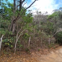 Venda de Sítio em Rural Correias em São Thomé das Letras-MG