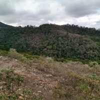 Venda de Sítio em Rural Correias em São Thomé das Letras-MG