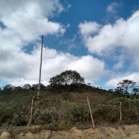 Venda de Sítio em Rural Correias em São Thomé das Letras-MG