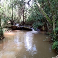 Venda de Sítio em Rural Crioulos em São Thomé das Letras-MG
