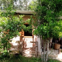 Venda de Sítio em Rural Crioulos em São Thomé das Letras-MG