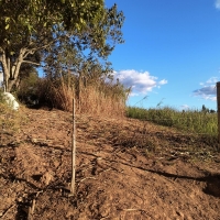 Venda de Sítio em Rural Lagoa em São Thomé das Letras-MG