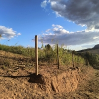 Venda de Sítio em Rural Lagoa em São Thomé das Letras-MG
