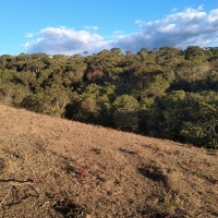 Venda de Sítio em Rural Lagoa em São Thomé das Letras-MG