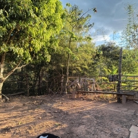 Venda de Sítio em Rural Lagoa em São Thomé das Letras-MG