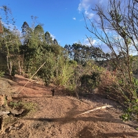 Venda de Sítio em Rural Lagoa em São Thomé das Letras-MG