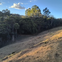 Venda de Sítio em Rural Lagoa em São Thomé das Letras-MG