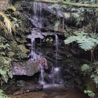 Venda de Sítio em Rural Taquaral em São Thomé das Letras-MG