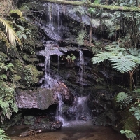 Venda de Sítio em Rural Taquaral em São Thomé das Letras-MG