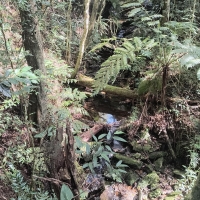 Venda de Sítio em Rural Taquaral em São Thomé das Letras-MG
