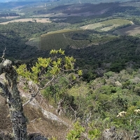 Venda de Sítio em Rural  Sobradinho de Minas em São Thomé das Letras-MG