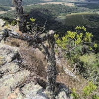 Venda de Sítio em Rural  Sobradinho de Minas em São Thomé das Letras-MG