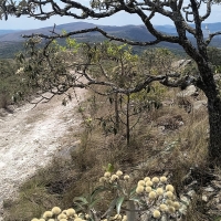Venda de Sítio em Rural  Sobradinho de Minas em São Thomé das Letras-MG