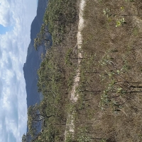 Venda de Sítio em Rural  Sobradinho de Minas em São Thomé das Letras-MG