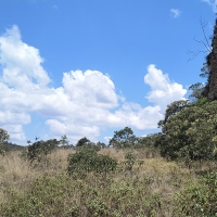 Venda de Sítio em Rural  Sobradinho de Minas em São Thomé das Letras-MG