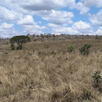 Venda de Sítio em Rural  Sobradinho de Minas em São Thomé das Letras-MG