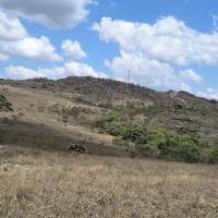 Venda de Sítio em Rural  Sobradinho de Minas em São Thomé das Letras-MG