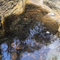 Venda de Sítio em Rural  Sobradinho de Minas em São Thomé das Letras-MG