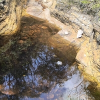 Venda de Sítio em Rural  Sobradinho de Minas em São Thomé das Letras-MG