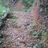 Venda de Terreno em Rural Antares em São Thomé das Letras-MG